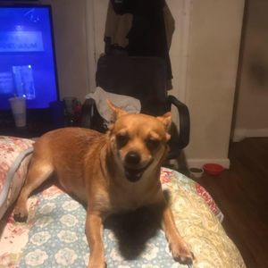 Meet your Posher, Max